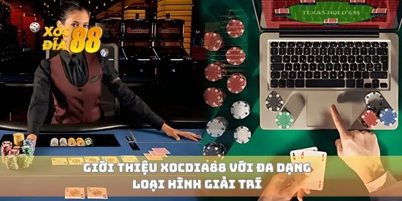 Giới thiệu xocdia88 với đa dạng loại hình giải trí