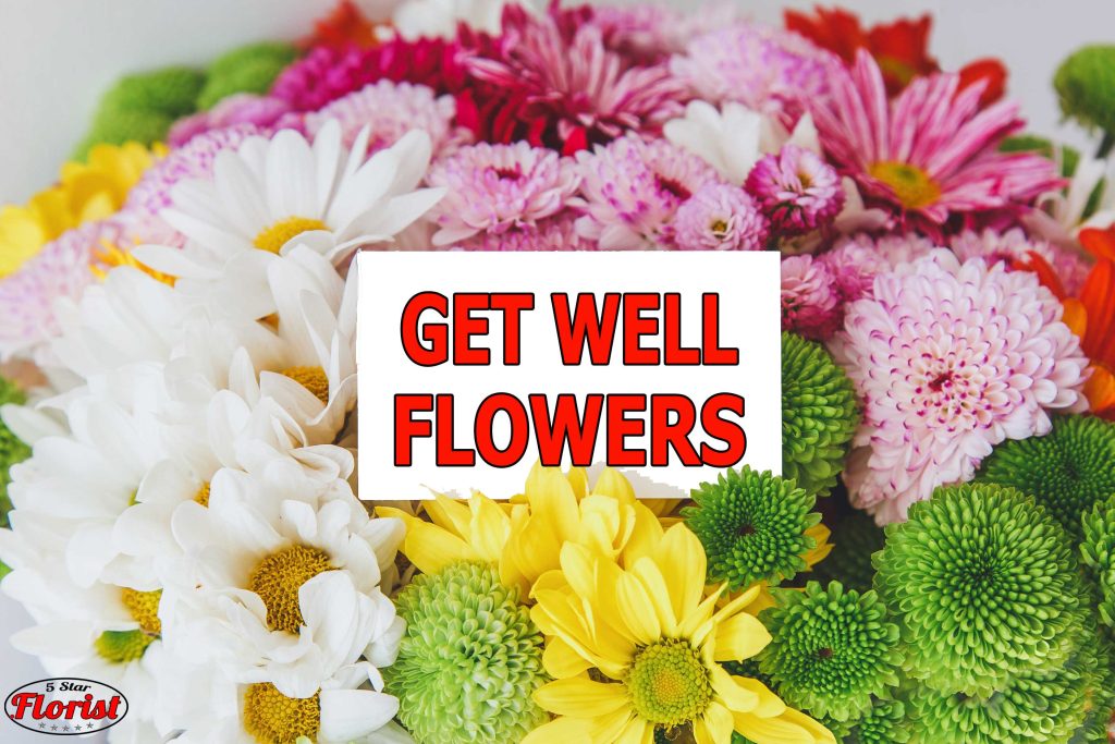 get well flowers Guelph